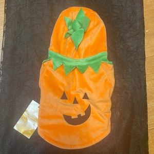 Jack-o-lantern dog coat